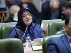 افشانی در بهشت می‌ماند/ معاونان و مدیران بازنشسته باید از شهرداری تهران بروند