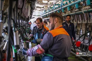 تأمین امنیت غذایی و تولید غذای سالم،با کیفیت و متناسب با نیاز کشور،جزو استراتژیک ترین فعالیت های بنیاد مستضعفان است