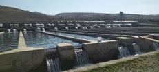 تولید ۴۲ هزار تن انواع ماهی در لرستان ثبت شد
