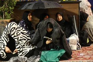 دبب