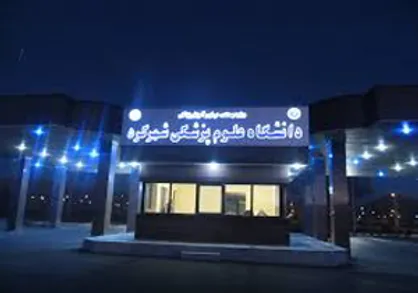 ۲۴۱ عضو هیئت علمی در دانشگاه علوم پزشکی شهرکرد وجود دارد