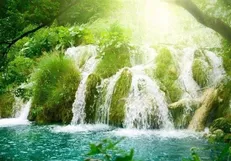 آبادی زمین و نزول برکات در عصر ظهور