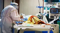 جولان کرونا تا یک سال دیگر در دنیا ادامه دارد