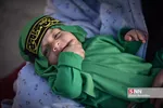 همایش شیرخوارگان حسینی در شیراز