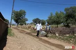 گروه جهادی