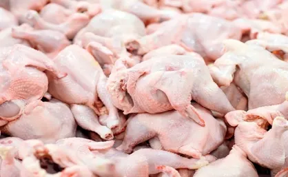 جریمه میلیاردی گرانفروشان مرغ در فضای مجازی