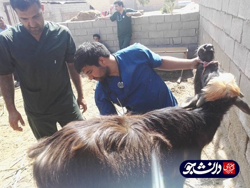 فعالیت جهادگران بسیج دانشجویی دانشگاه آزاد شوشتر در مناطق سیل زده شعیبیه