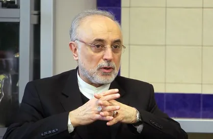 علی اکبر صالحی رئیس بنیاد ایران&zwnj;شناسی شد