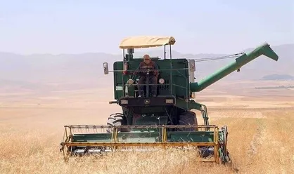 آغاز رسمی برداشت و خرید تضمینی گندم در ایلام / پیش&zwnj;بینی تولید بیش از ۴۰۰ هزار تن