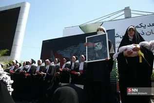 دبب