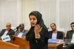دادگاه موسسه 