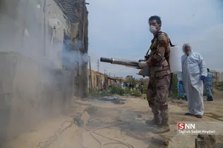 جدید