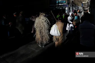ظیسذل