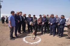 بهره‌برداری و اجرای ۴۰ هکتار گلخانه در پارس‌آباد آغاز شد