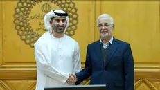 وزیر کشور با سفیر امارات در تهران دیدار کرد