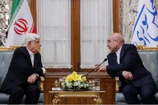 تاکید عارف بر همکاری دولت و مجلس برای عملیاتی کردن شعار سال
