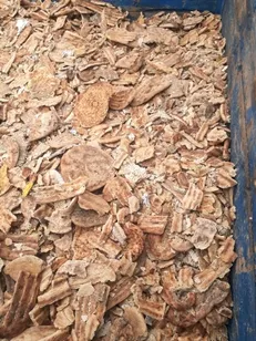 کشف حدود ۱.۵ تن نان خشک شده در شیروان