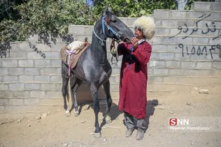 اسب
