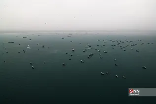 غغغغ