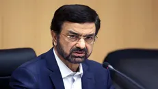 مالکی:  تدوین طرح ساماندهی اتباع خارجی در مراحل نهایی قرار دارد+ فیلم
