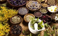 تعداد شرکت‌های خلاق حوزه گیاهان دارویی افزایش می‌یابد