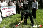 کبوتر رحمت