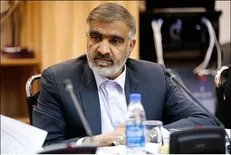 دولت می‌توانست سازوکار ارائه ارز مسافرتی را همراه با ارائه ویزا برای زوار اربعین فراهم کند