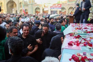 دبب