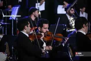 دبب