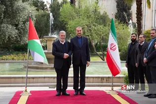 زیادنخاله