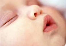 نقش نفوذ خارجی و غفلت داخلی در تداوم سیاست‌های کاهش نسل