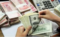 جوسازی برخی رسانه‌ها درباره سود ۱۴ میلیونی خرید ارز در یک روز/ اشتباه محاسباتی یا اقدام مغرضانه؟