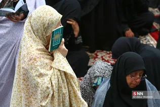 دبب
