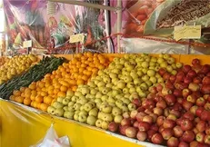 اعلام قیمت ۳۴ نوع میوه در میادین میوه و تره بار شهرداری تهران/ هندوانه ارزان‌ترین و آناناس گرانترین میوه