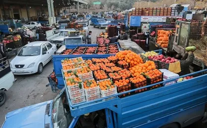 توزیع ۱۱۰۰ تن لیموترش احتکار شده در بازار با ورود دستگاه قضایی