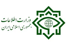 اطلاعیه دوم وزارت اطلاعات درباره فاجعه تروریستی شاهچراغ / تاکنون ۲۶ تروریست تکفیری دستگیر شده‌اند