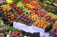 ۱۷ محصول در میادین میوه و تره بار ارزان شد