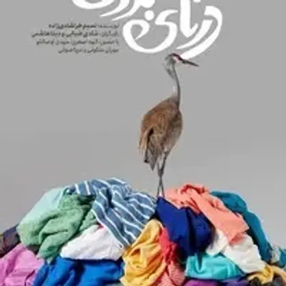 &laquo;دُرنای بزرگ&raquo; به جشن تصویر سال می&zwnj;رود