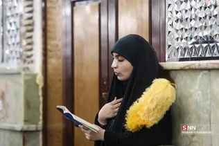دبب