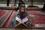 کاشان