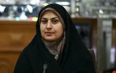 روایت محمودی از ارمغان شفافیت آرا برای نمایندگان مجلس