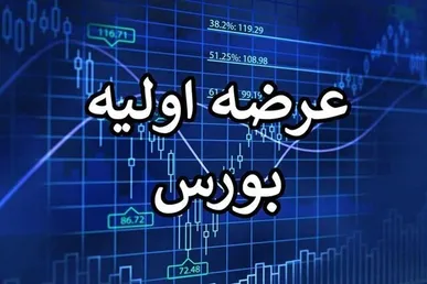 هفتمین عرضه اولیه فرابورس کشف قیمت شد