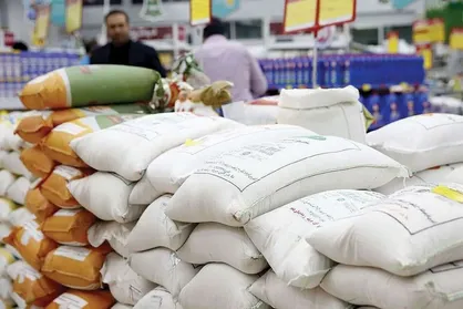 قیمت هر کیلو برنج ایرانی به ۲۰۰ هزار تومان رسید؛ بازار پاکستانی و هندی داغ شد