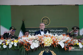 دبب