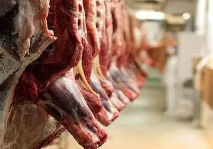 قیمت جدید انواع گوشت گوسفندی و گوساله در میادین میوه و تره&zwnj;بار اعلام شد