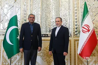دیدار وزیر کشور پاکستان با وزیر امورخارجه جمهوری اسلامی ایران