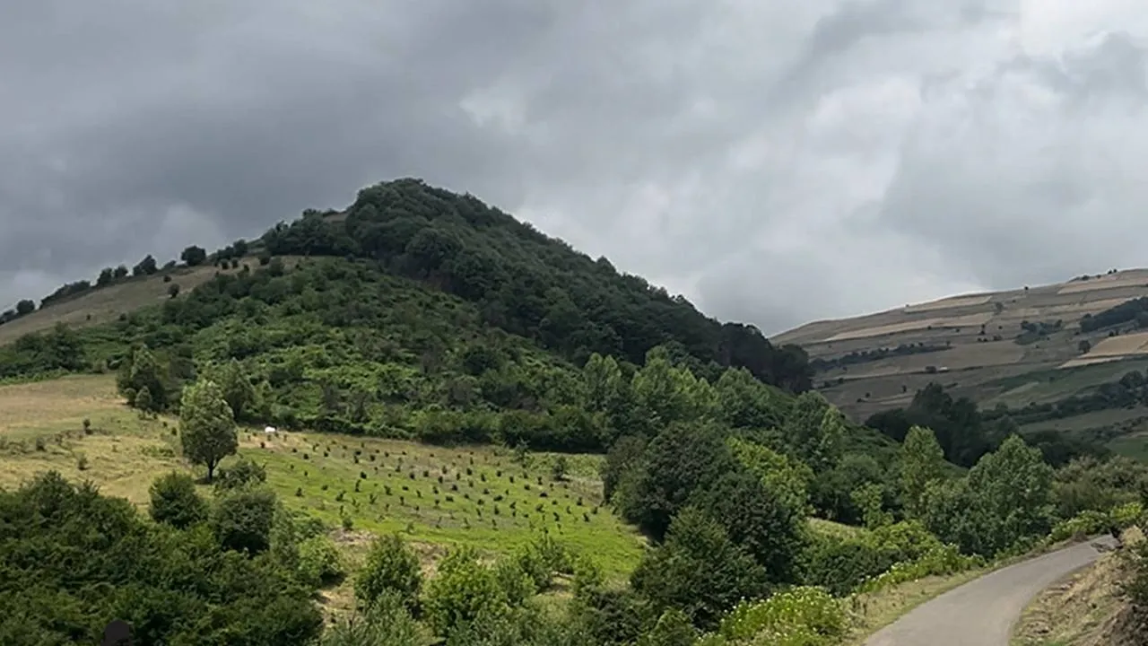 هواشناسی گیلان؛ بارندگی و رعدوبرق تا چهارشنبه ادامه دارد