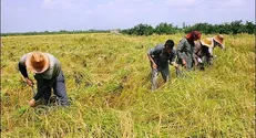 رشد ۸۰ درصدی افراد تحت پوشش بیمه کشاورزان و روستاییان
اجتماعیرفاه و تعاون