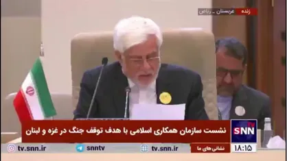 عارف: در شرایطی که سازمان&zwnj;های بین المللی بی اعتبار شده&zwnj;اند ما کشور&zwnj;های اسلامی و عربی مسئولیت سنگین بر دوش داریم و باید گامی موثر و جمعی برداریم