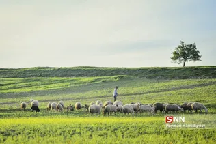 جلوه های زیبای طبیعت
